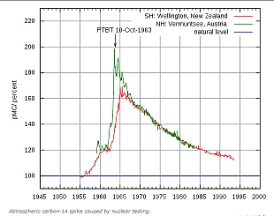 C14 Levels